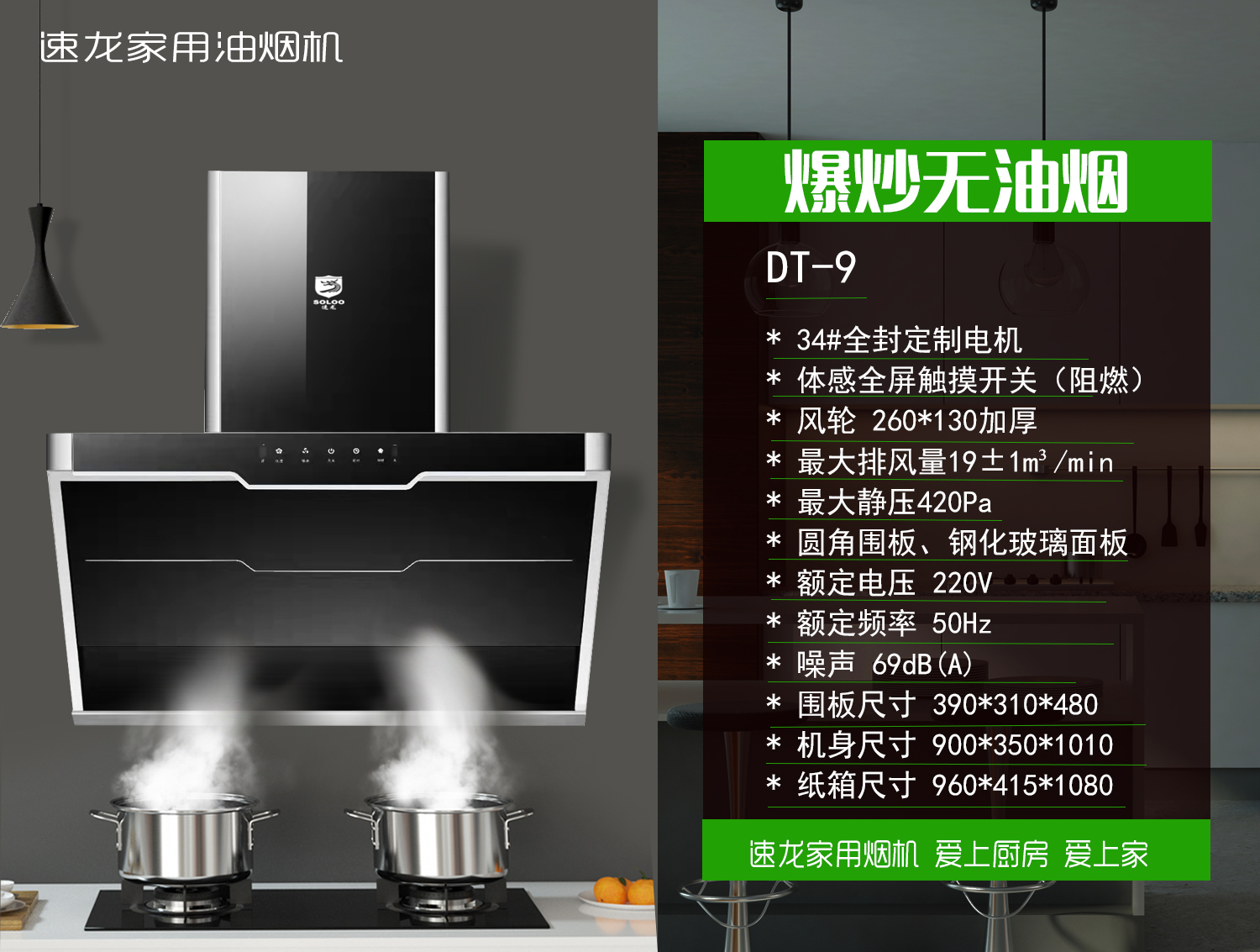 普通SL-9(图1)