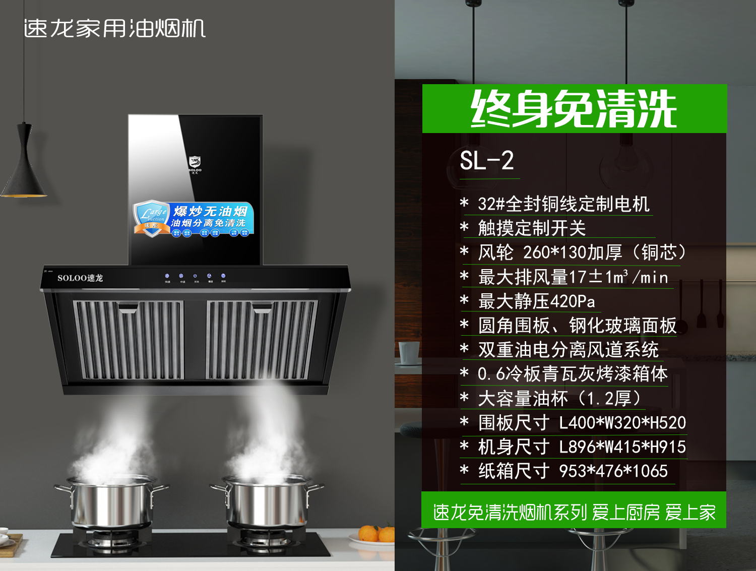 免清洗油烟分离烟机SL-2(图1)